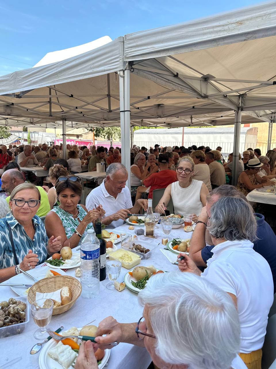 You are currently viewing L&rsquo;AÏOLI DE LA FÊTE VOTIVE DE ROBION